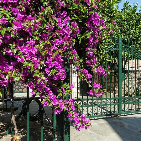Xenios Loutra Village Mary'S House Αγία Παρασκευή Εξωτερικό φωτογραφία