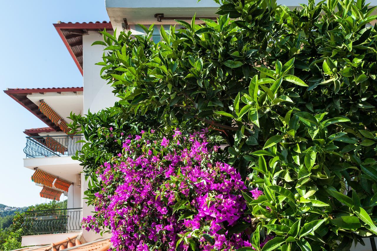 Xenios Loutra Village Mary'S House Αγία Παρασκευή Εξωτερικό φωτογραφία