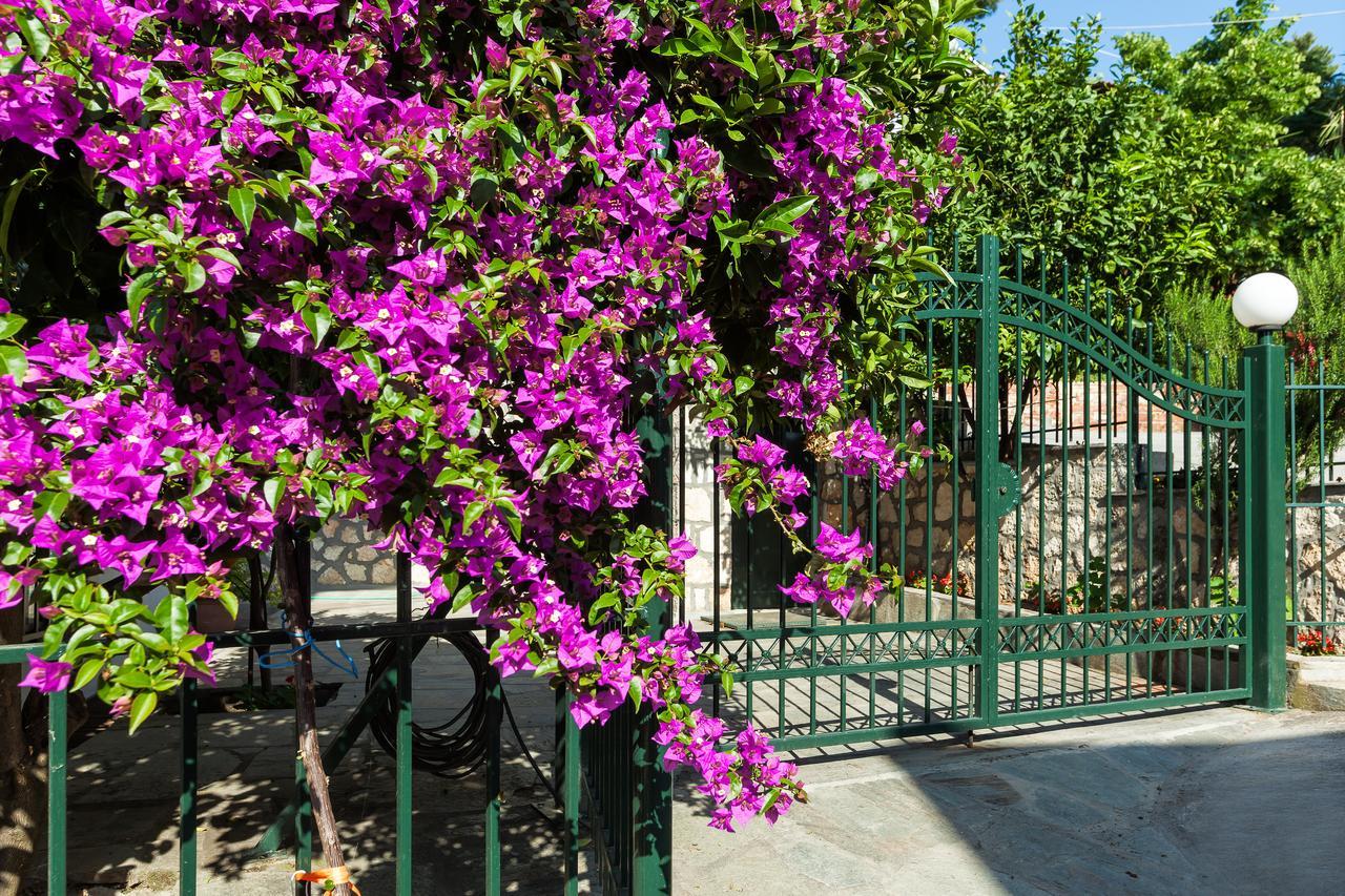 Xenios Loutra Village Mary'S House Αγία Παρασκευή Εξωτερικό φωτογραφία